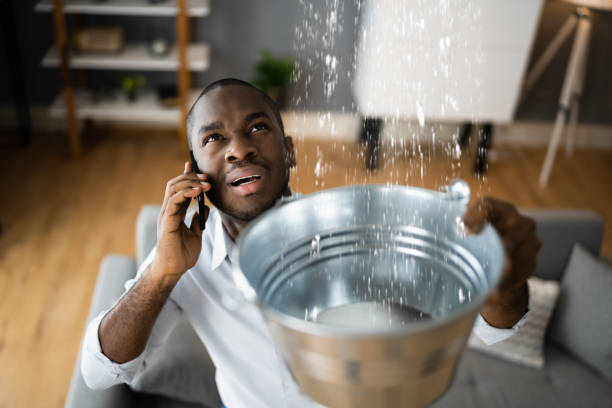 Best Ceiling water damage repair  in Hastings, PA