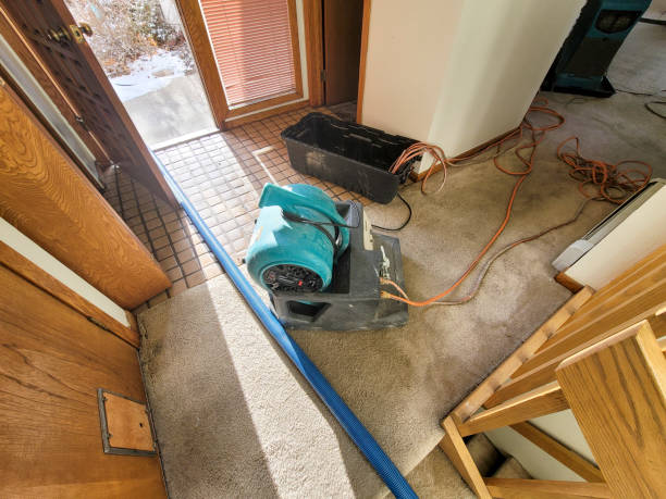Best Fire Damage Restoration  in Hastings, PA
