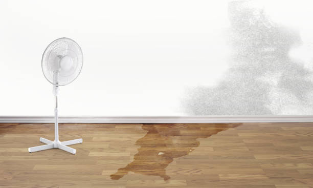 Best Water damage contractors near me  in Hastings, PA