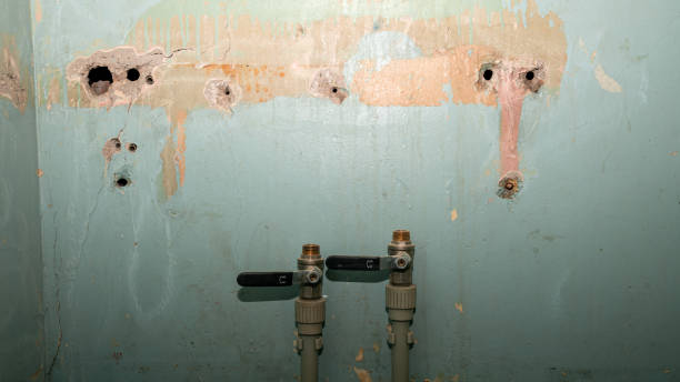 Best 24-hour water damage restoration  in Hastings, PA